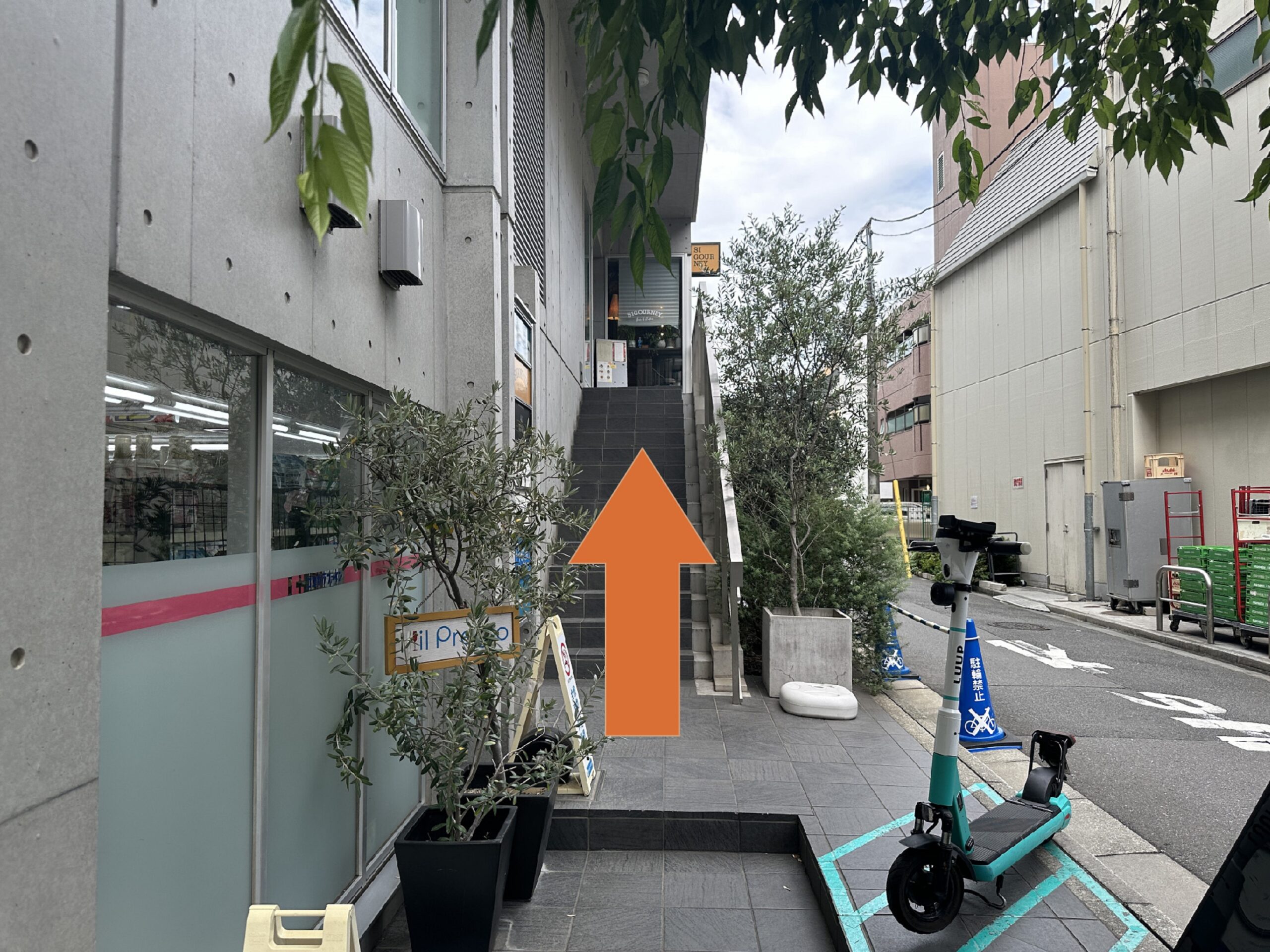 階段をのぼって左へ